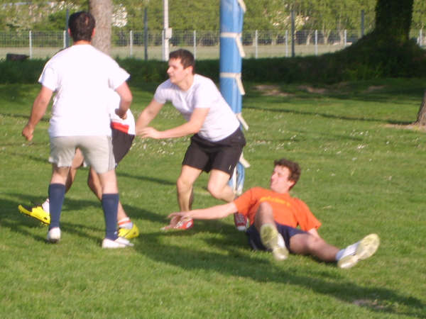 rugby